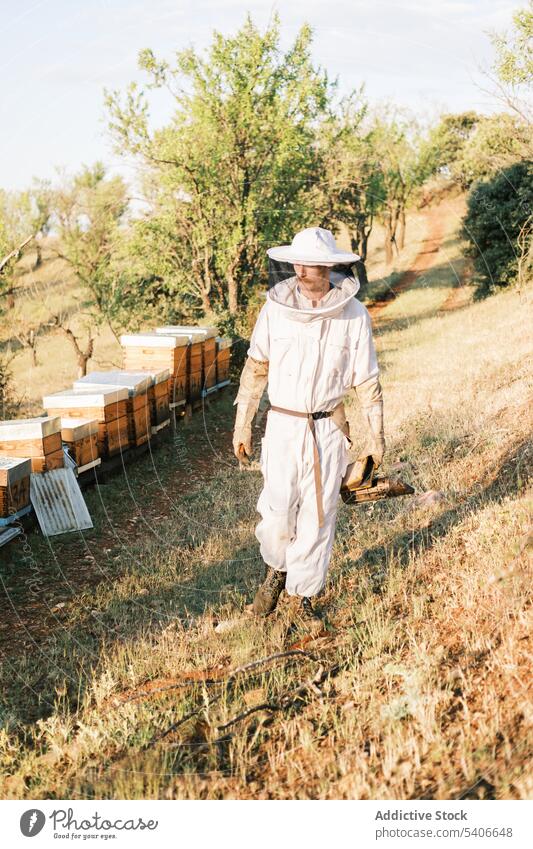 Male beekeeper with smoker working in apiary man tool agriculture protect professional check equipment uniform farm nature male countryside job walk occupation