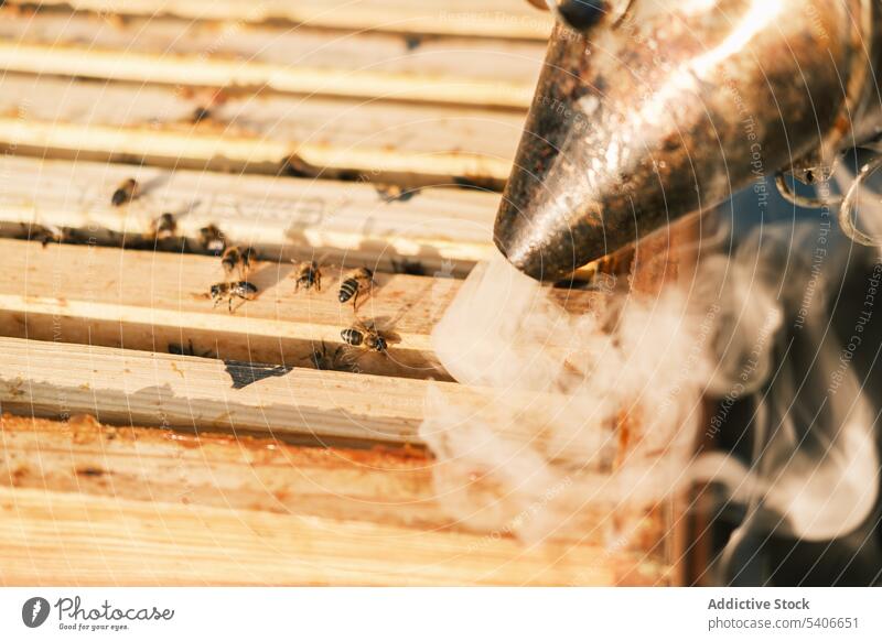 Unrecognizable beekeeper working in apiary near hive smoker fume beehive garden countryside worker nature occupation metal equipment professional closeup