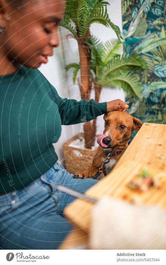 Young thoughtful woman with dog sitting at table eat restaurant cafe owner pet play food spend time female happy casual friend cozy crop companion animal canine