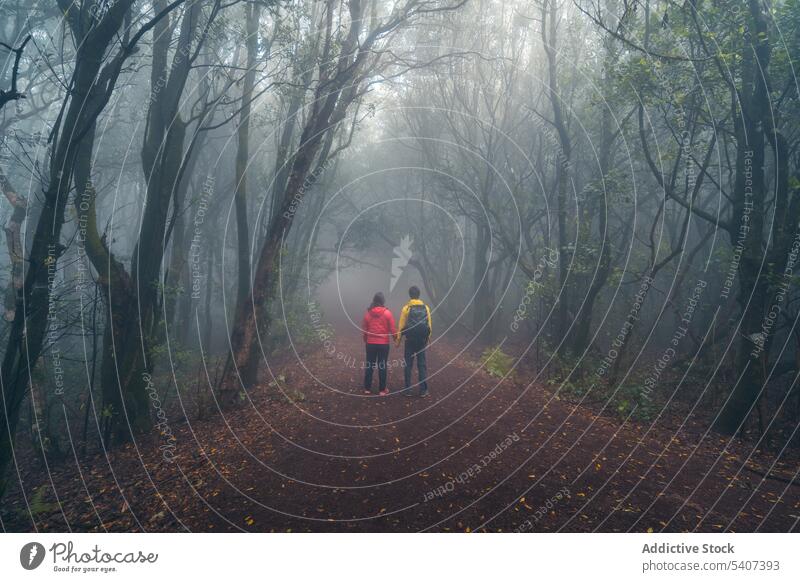 Unrecognizable couple travelers walking on road in misty green trees forest explore fog nature woods pathway trip hiker journey adventure tourism environment