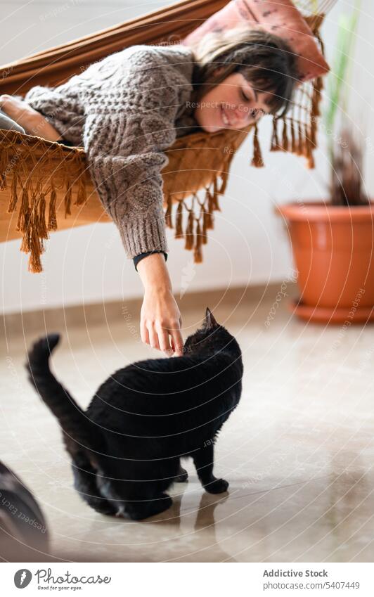 Woman stroking fluffy black cat on floor woman lying stroke pet rest hammock bed domestic animal relax comfort cute purebred friend calm feline adorable casual