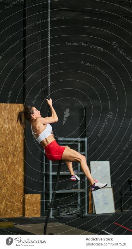 Strong sportswoman climbing rope in gym exercise workout body effort challenge muscular adult vitality shape physical energy intense equipment activity