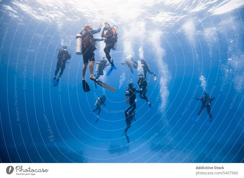 Group of scuba divers swimming underwater people snorkel bubble ocean cancun mexico america sea mask oxygen tank clear equipment deep aqua depth algae seaweed