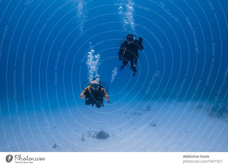 Divers swimming underwater wearing diving suits and masks scuba diver explore undersea hobby tourism cancun mexico america snorkel tank bubble marine deep
