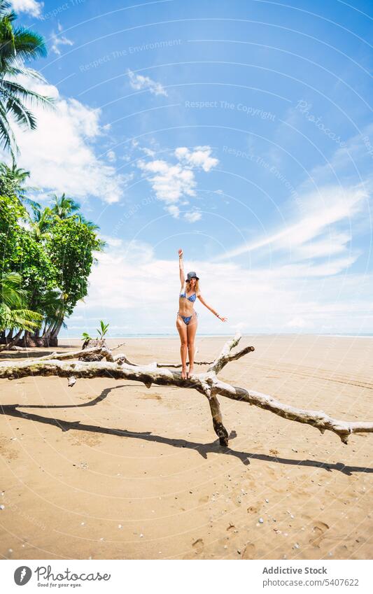 Female tourist standing on dry trunk on beach woman tree palm tree tropical exotic resort carefree female young uvita puntarenas costa rica america bikini