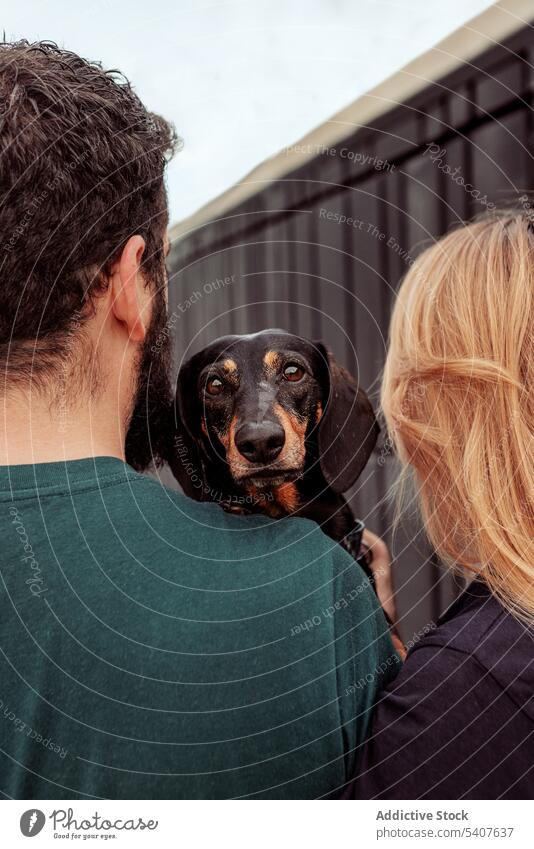 Young couple hugging dog during walk owner stroll spend time dachshund cuddle embrace pet young street companion purebred breed adorable friend daytime