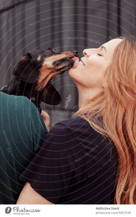 Dog licking face of happy female owner couple walk dog dachshund love pet bonding street smile joy young redhead casual long hair loyal tender gentle animal