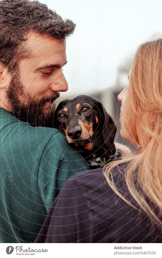Young couple hugging dog during walk owner stroll spend time dachshund cuddle embrace pet young street companion purebred breed adorable friend daytime
