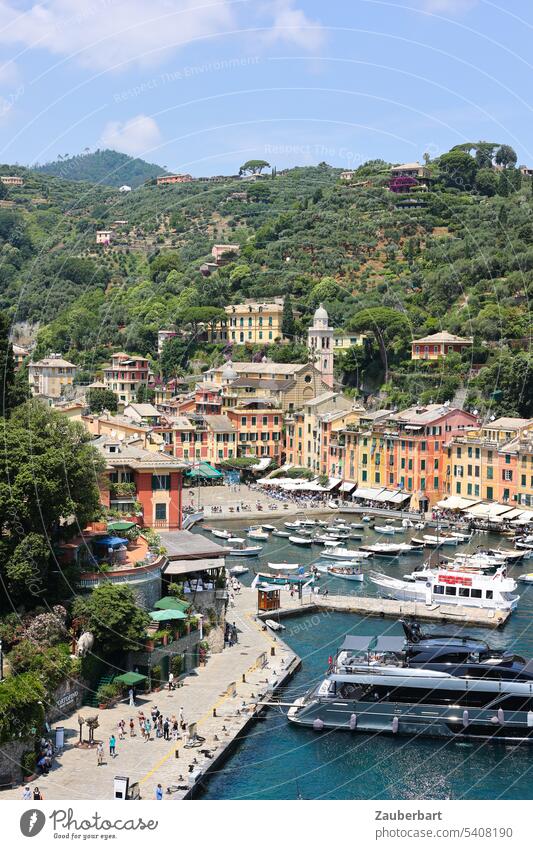 Portofino harbor with colorful houses and yachts Harbour Italy Riviera luxury Luxury Waste vacation Sun Ocean coast Tourism Bay Mediterranean Yacht Oligarch