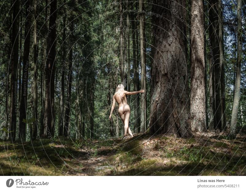 These wild woods are being roamed with gorgeous naked creatures. Like this pretty blonde girl. Showing her sexy curves and booty in the wilderness. A feeling of freedom and endless summer is in the air.