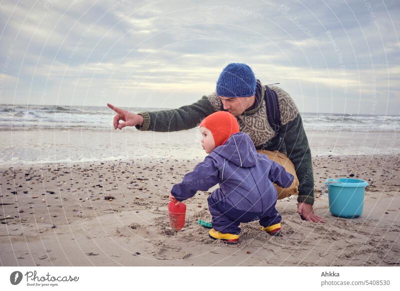 Father and child make a discovery on the beach inquisitorial Parenting Indicate Observe dad Child Nature Together Beach Discover explore Accompany Curiosity