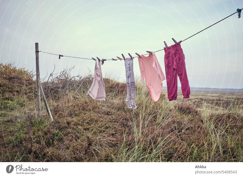 Children clothes hang on a clothesline in the dunes Miss Laundry Wash Marram grass Wet Minimalistic naturally Retro Old Small Infancy Childhood memory Wind