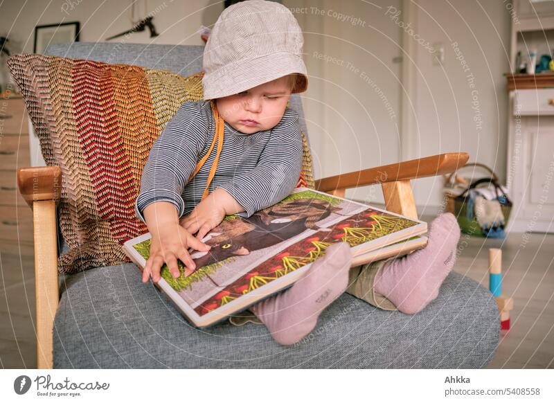 Toddler with cap sits on an armchair and studies a children's book Child Book Reading Interest Study Concentrate thrilling Education Infancy Cap study at home
