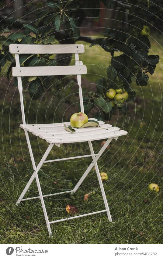 white garden chair with apple orchard harvest apple trees apples green apple country life fruit trees autumn white chair bistro chair french chair