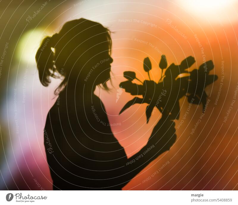 The shadow of a woman, she congratulates with a bouquet of flowers! Woman portrait Shadow Light Bouquet tulips Ponytail Girl Gift Flower Mother's Day Spring