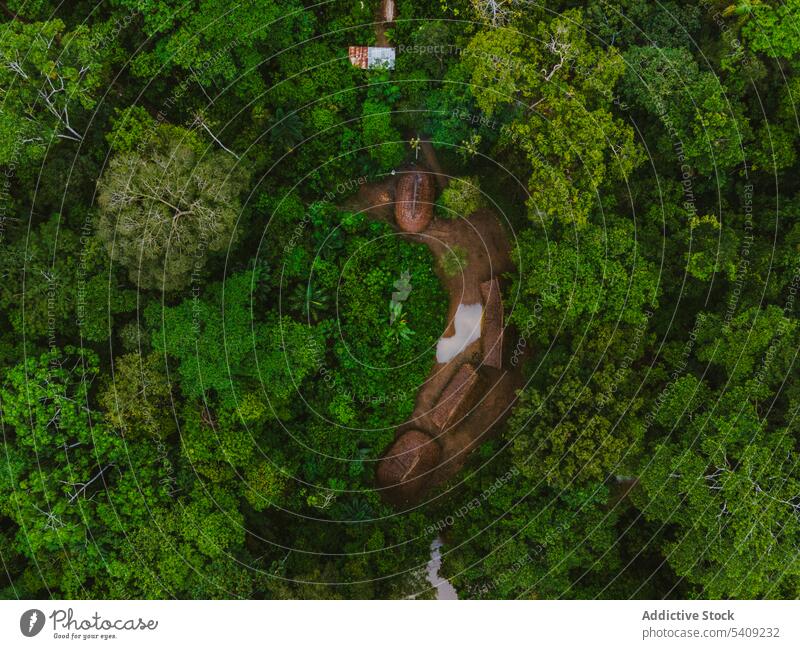 Aerial view of local houses in lush rainforest pond village settlement building hut nature shrub tree bush water plant environment woods green vegetate botany