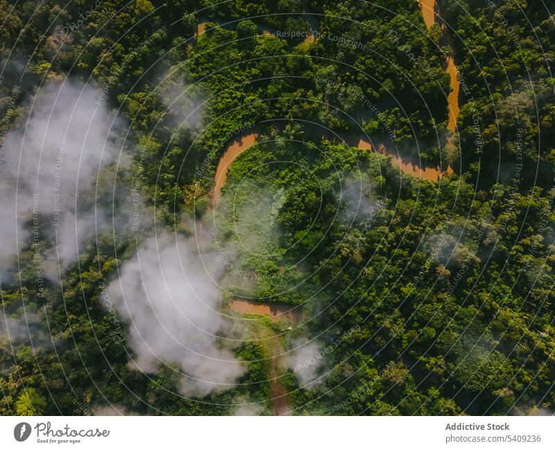 Drone view of green forest and fields with road countryside house rainforest residential nature tree rural narrow landscape way cloudy plant roadway path
