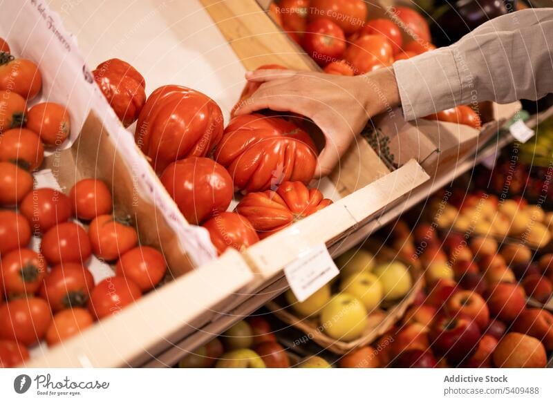 Crop anonymous person choosing ripe tomatoes in supermarket grocery vegetable seller choose box work store food pick fresh product uniform organic buy nutrition