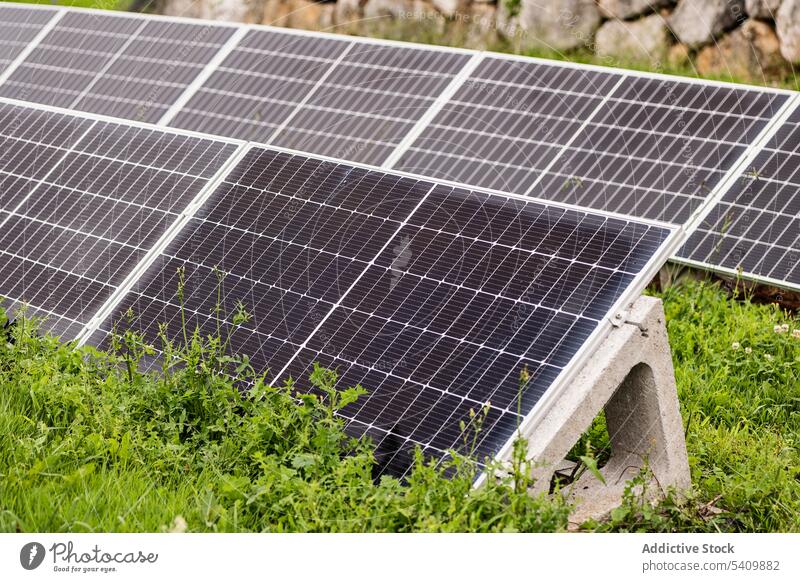 Solar panels placed on green grass in sunlight solar sustainable energy field clean tree power reflection summer countryside nature environment modern ecology