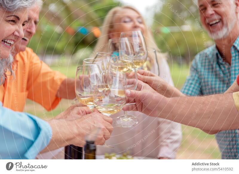 Group of friends clinking glasses group birthday celebrate toast cheers drink alcohol congratulate park together middle age friendship party cheerful happy