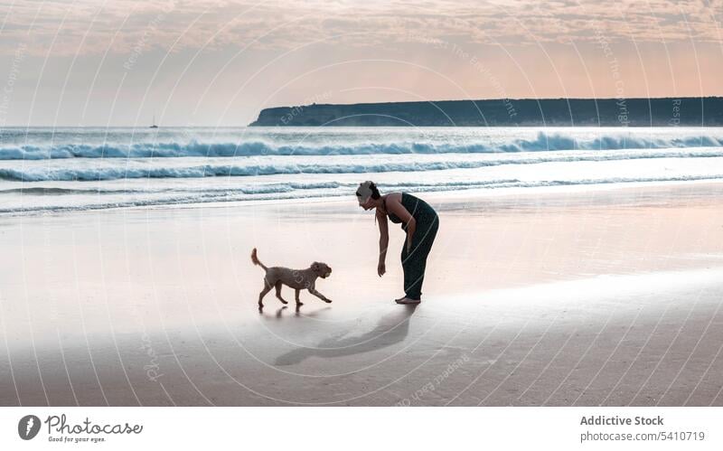 Unrecognizable woman playing with pet dog on sandy beach owner sunset sea evening female young shore sundown water canine nature animal summer coast companion