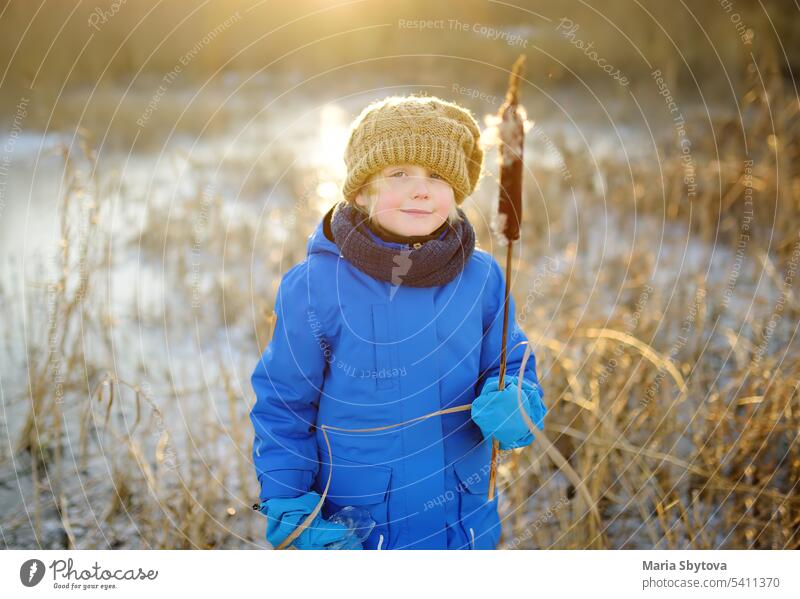 Cute preschool boy is playing on the ice of a frozen lake or river on a cold sunny winter sunset. Child having fun with icicle and dry reed plant during family hiking. Kids outdoor games