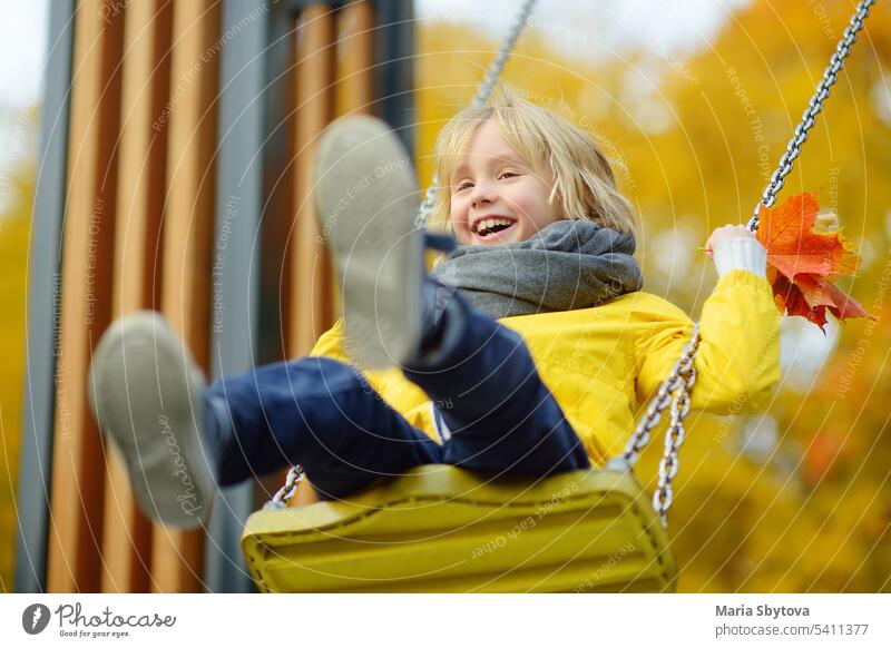 Little boy having fun on a swing on the playground in public park on autumn day. Happy child enjoy swinging. fall playful happy preschooler smile active