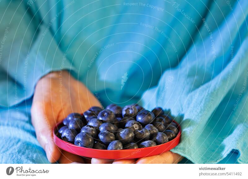 Plate with bilberries blueberry fruit food healthy eating copy space studio shot blue color ready to eat antioxidant ripe harvest agriculture vitamin vegetarian