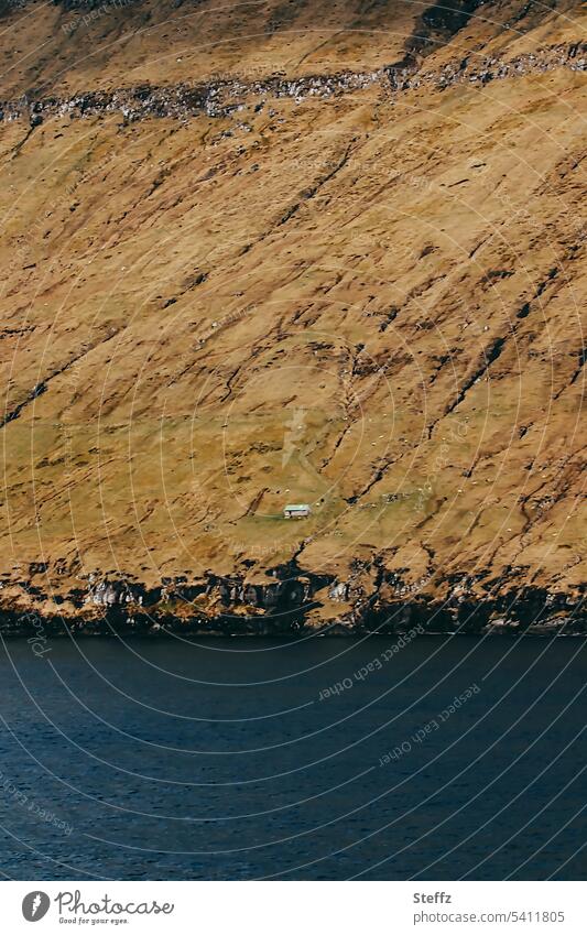 a cottage on the cliffs of the Faroe Islands House (Residential Structure) färöer Faeroe Islands Hill Sheep Islands Size difference steep coast bank Steep