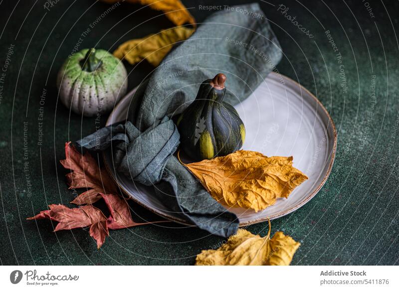 Autumnal table setting against dark background autumnal napkin plate tablecloth tableware leaf colorful small pumpkin beauty romantic decoration surface