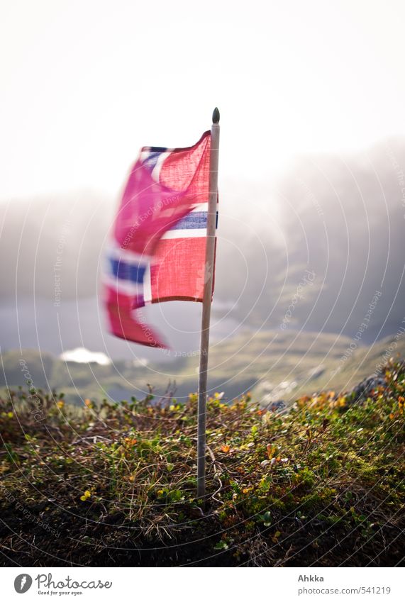 Norwegian flag Landscape Mountain Flag Athletic Wave Welcome Norway Goodbye Small Above Red Wind Roll out Wing Scandinavia Lofotes Colour photo Exterior shot