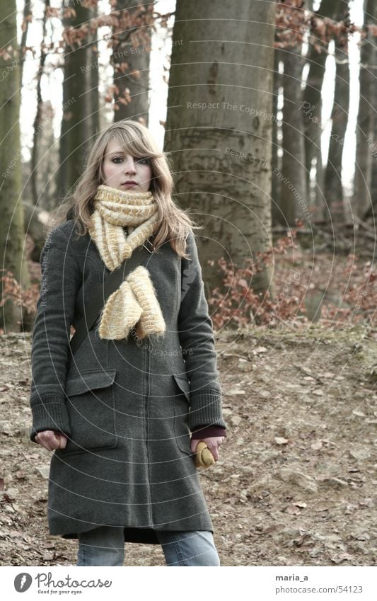 a girl stands in the woods, all silent and dumb... Forest Tree Scarf Winter Cold Loneliness Autumn Gray Coat Fat Packaged Attract Clothing Blonde Leaf