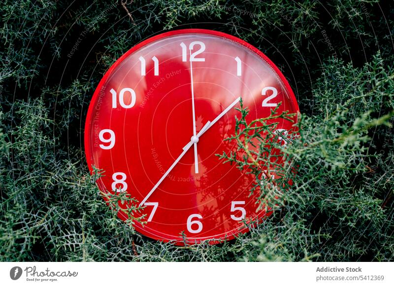 Red clock placed on green meadow during daytime red nature hour alarm minute round deadline urgent grass plant white lawn field season summer watch circle