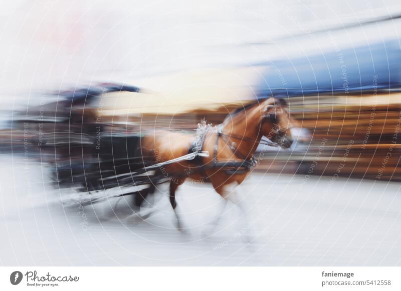 abstract blurred horse carriage in full swing, Bruges Horse-drawn carriage dishevelled Brugge Wipe swift fast tempo speed Driving Flying Abstract Art creatively