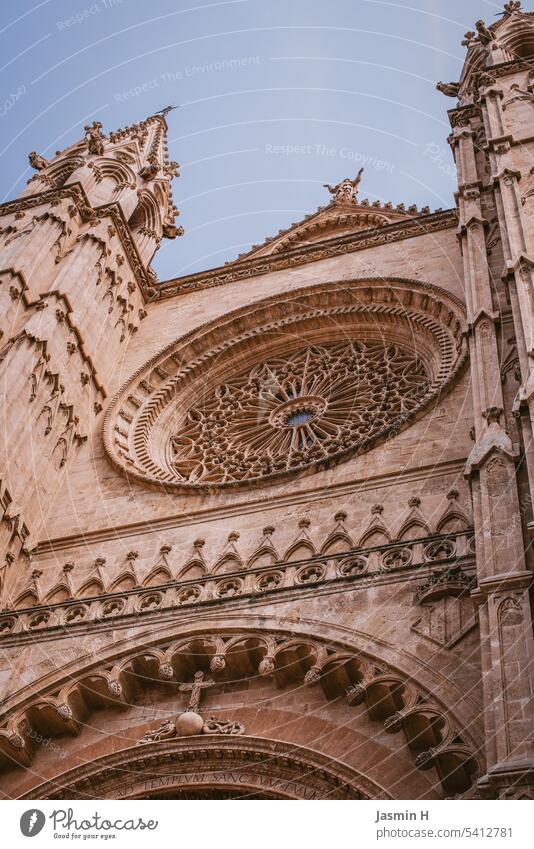 Detail of the cathedral "La Seu Cathedral Rose window Architecture Religion and faith House of worship Dome Church Landmark Historic Tourist Attraction