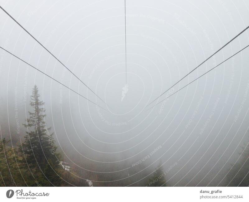 Aerial tramway in the fog Misty atmosphere Fog Wall of fog Coniferous forest in fog Sea of fog Gray Exterior shot Autumn Bad weather