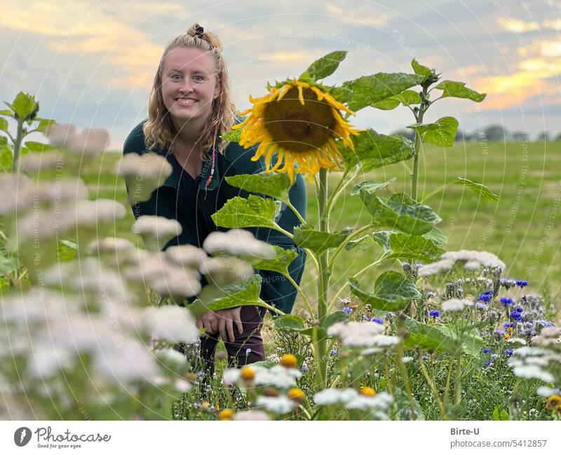Young woman in a flower meadow Sunflower Joie de vivre (Vitality) Joy of nature Happy rejoice enjoy the moment Colour photo Flower meadow Summer Freedom