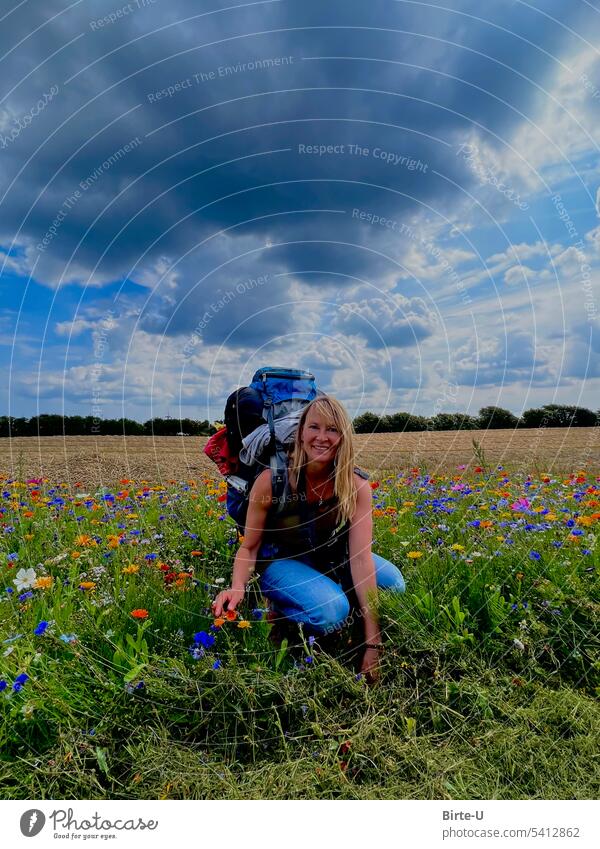 Woman on a hike Colour photo wildflower meadow Sky Clouds Backpacking vacation Clouds in the sky Joy enjoy nature free time Adventure Hiking Nature