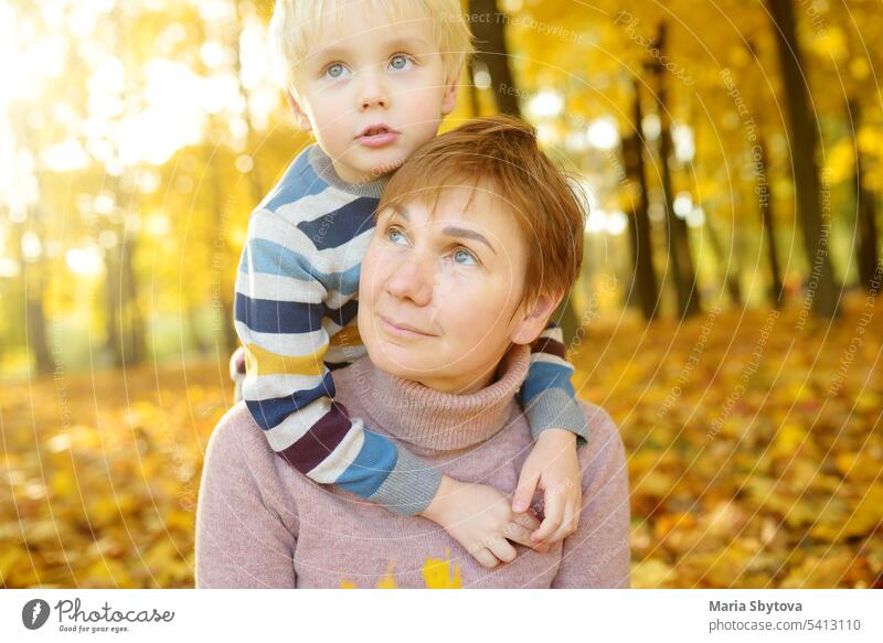 Little boy embraces his grandmother during stroll at sunny autumn park. Friendship between grandparent and child grandson granny family comfort baby love