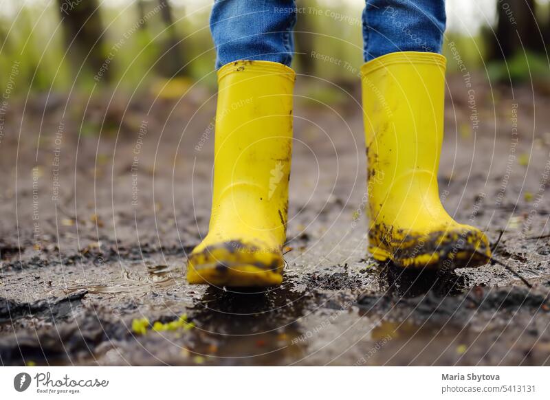 Mischievous preschooler child wearing yellow rain boots jumping in large wet mud puddle. Kid playing and having fun. Outdoors games dirty mischievous active