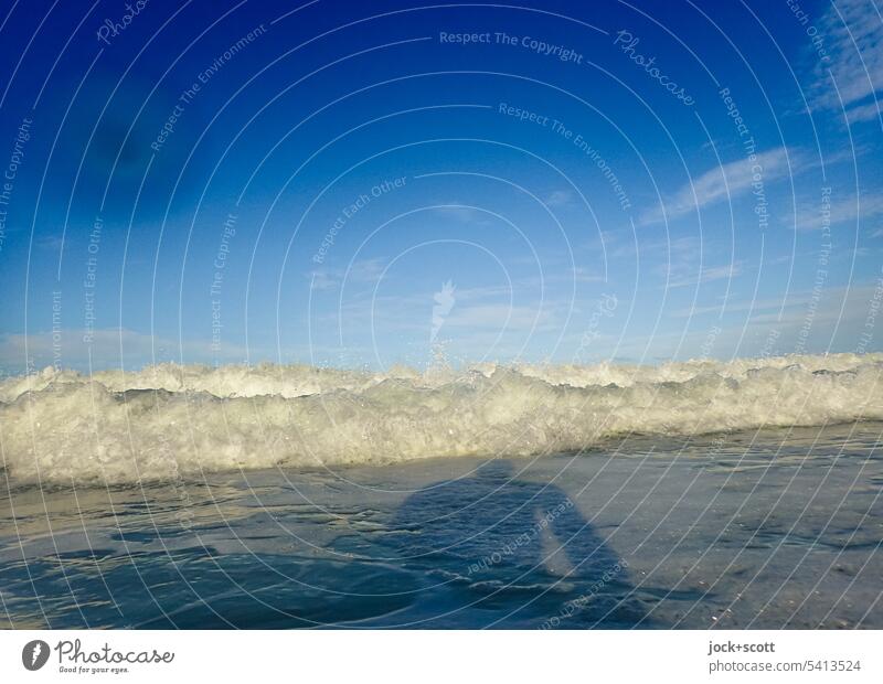 the next wave is for you Waves Pacific Ocean Nature Background picture Blue sky Wave action Australia Surface of water Silhouette Shadow play Swell Undulation