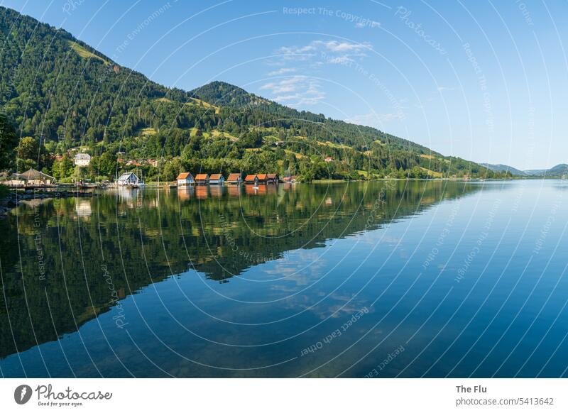 Summer idyll at the Alpsee in Allgäu alpine lake Lake reflection Sky Blue clear Landscape Mountain Reflection Deserted Nature Water Beautiful weather Calm Idyll