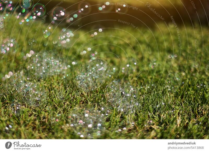 Colorful bright soap bubbles on summer natural green grass background in sunlight. Spring or summer holiday season. Symbol of happy childhood, purity, ecology.