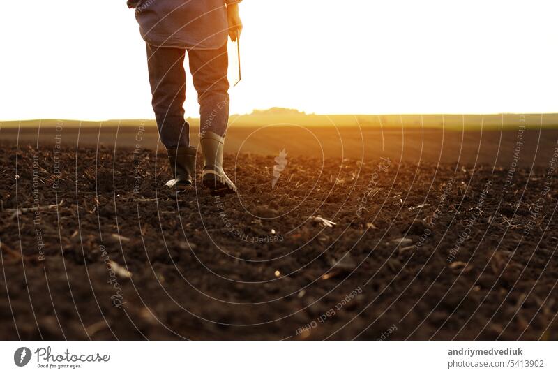 Agriculture. Cropped shot of back view businessman farmer in rubber boots walks along plowed field with digital tablet. Agronomist checking and analyses fertile soil on sunrise. Agribusiness.