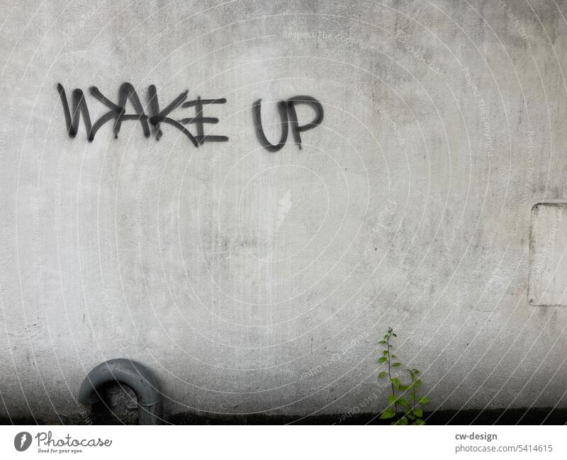 "WAKE UP" sprayed on a facade Facade Town House (Residential Structure) Architecture Building Living or residing Wall (building) street style street art