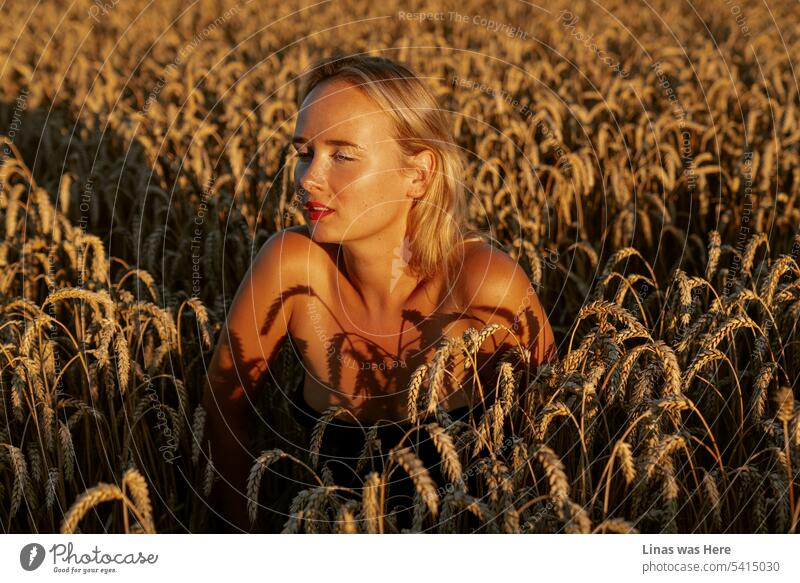 A portrait of this gorgeous blonde girl enlightened by a warm summer evening light. A golden hour fits this beauty perfectly. Surrounded by golden wheat she feels just fine.