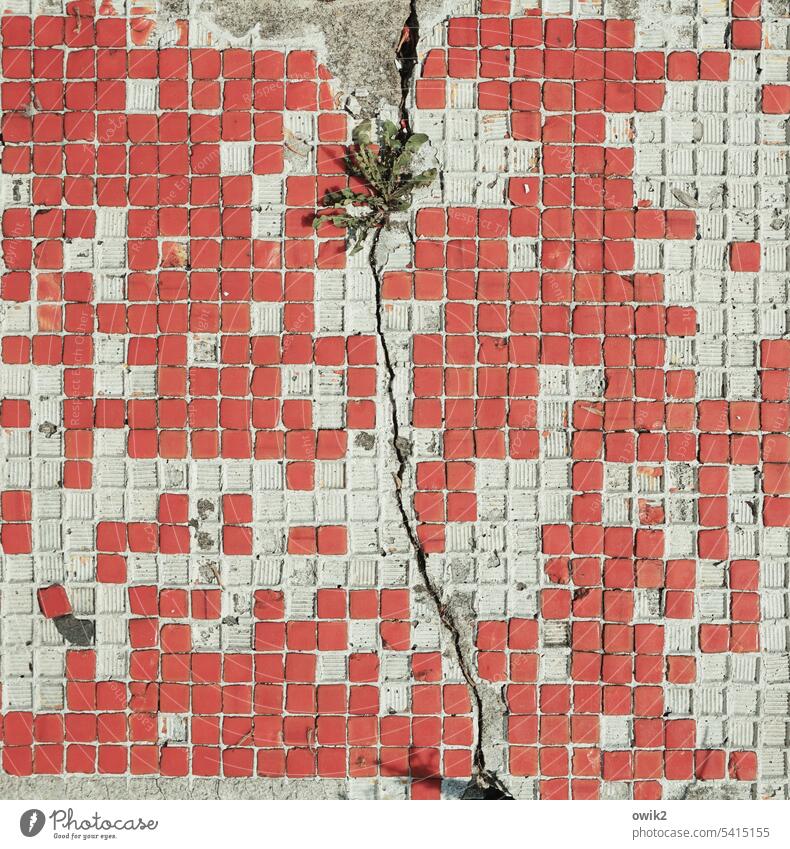 Tetriss decoration Tile Small squares Red White Many Desolate damaged defective sketchy Structures and shapes Mosaic Detail Deserted Colour photo Abstract