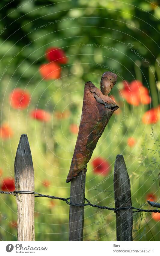 Fence decoration l Art on the fence plastic Figure A plastic paling fence Deserted Zaunschuck poppies Work of art creative work Creativity