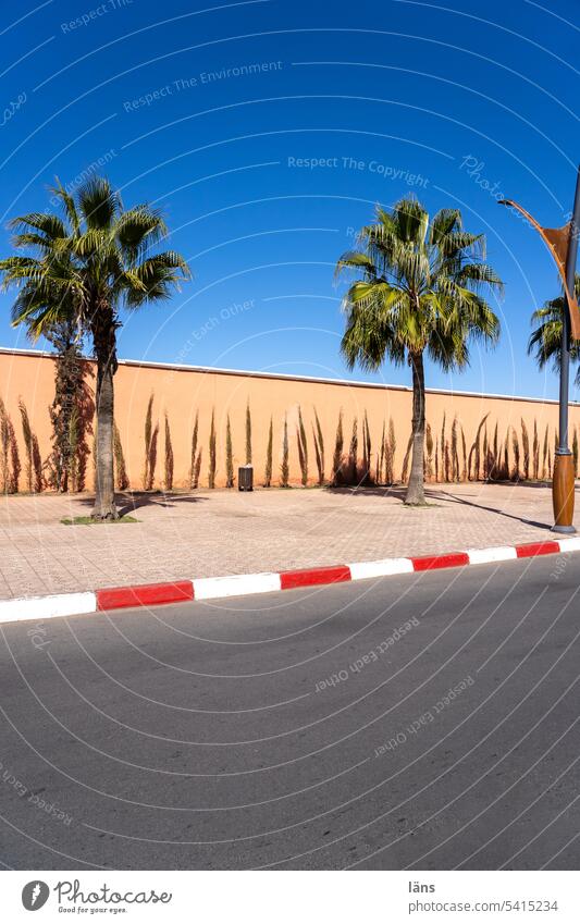 Palm avenue in Marrakech Morocco Avenue palms Street Deserted Colour photo Lanes & trails Traffic infrastructure curbstone Palm Avenue Marrakesh
