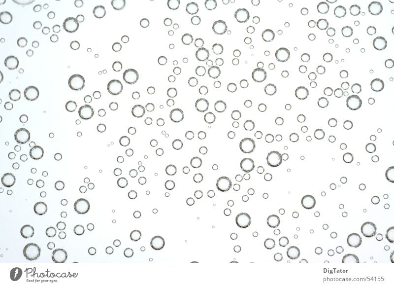 blubber White Monochrome Fresh Water Bright Blow Cool (slang) Refreshment Bubble